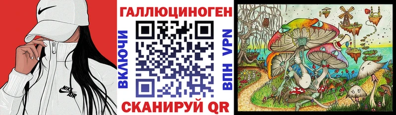 Галлюциногенные грибы Psilocybine cubensis  Купить где  Черноголовка 